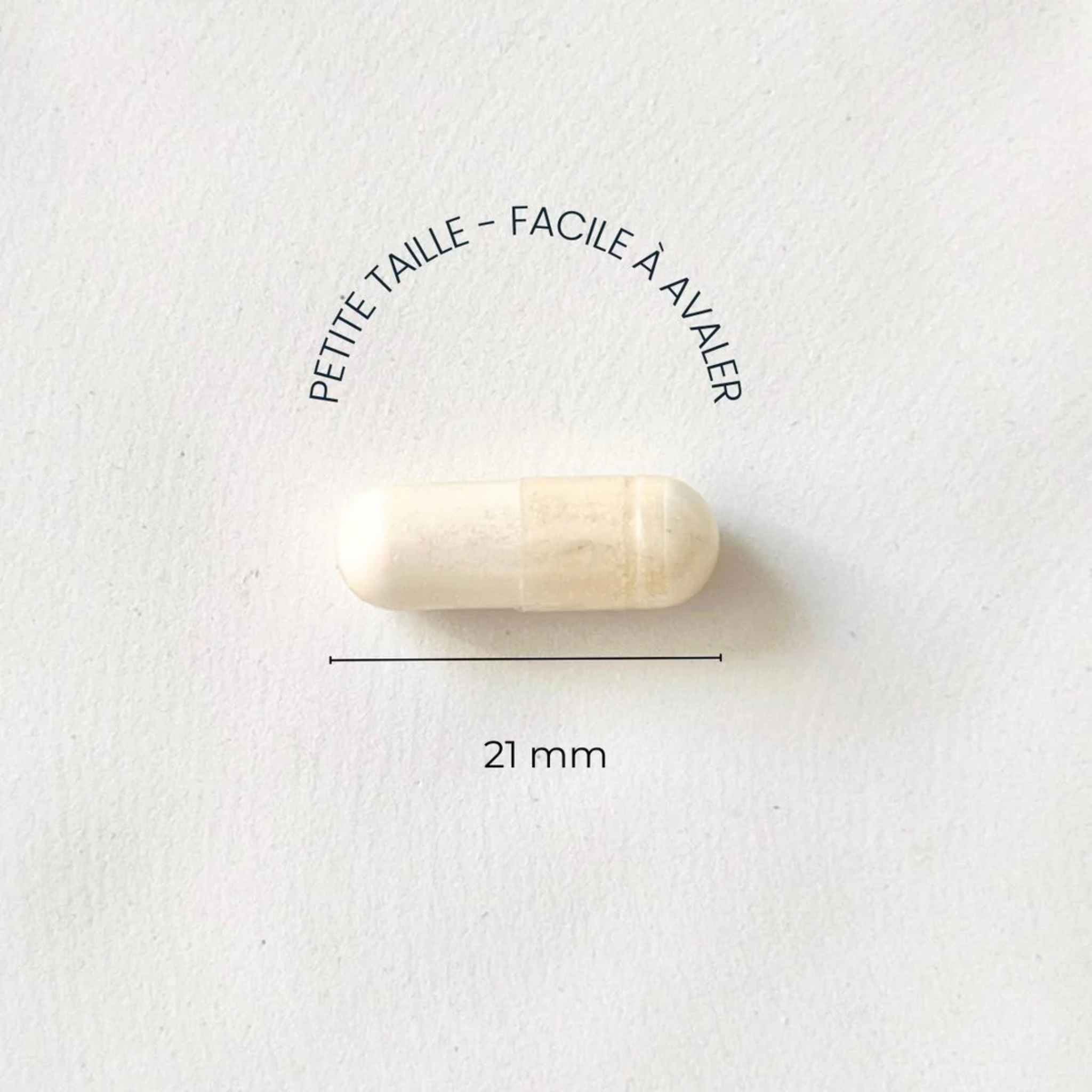 SKIN & BIOTICS pour l'équilibre hormonal et la santé intestinale - Maison Les Pierres Dorées